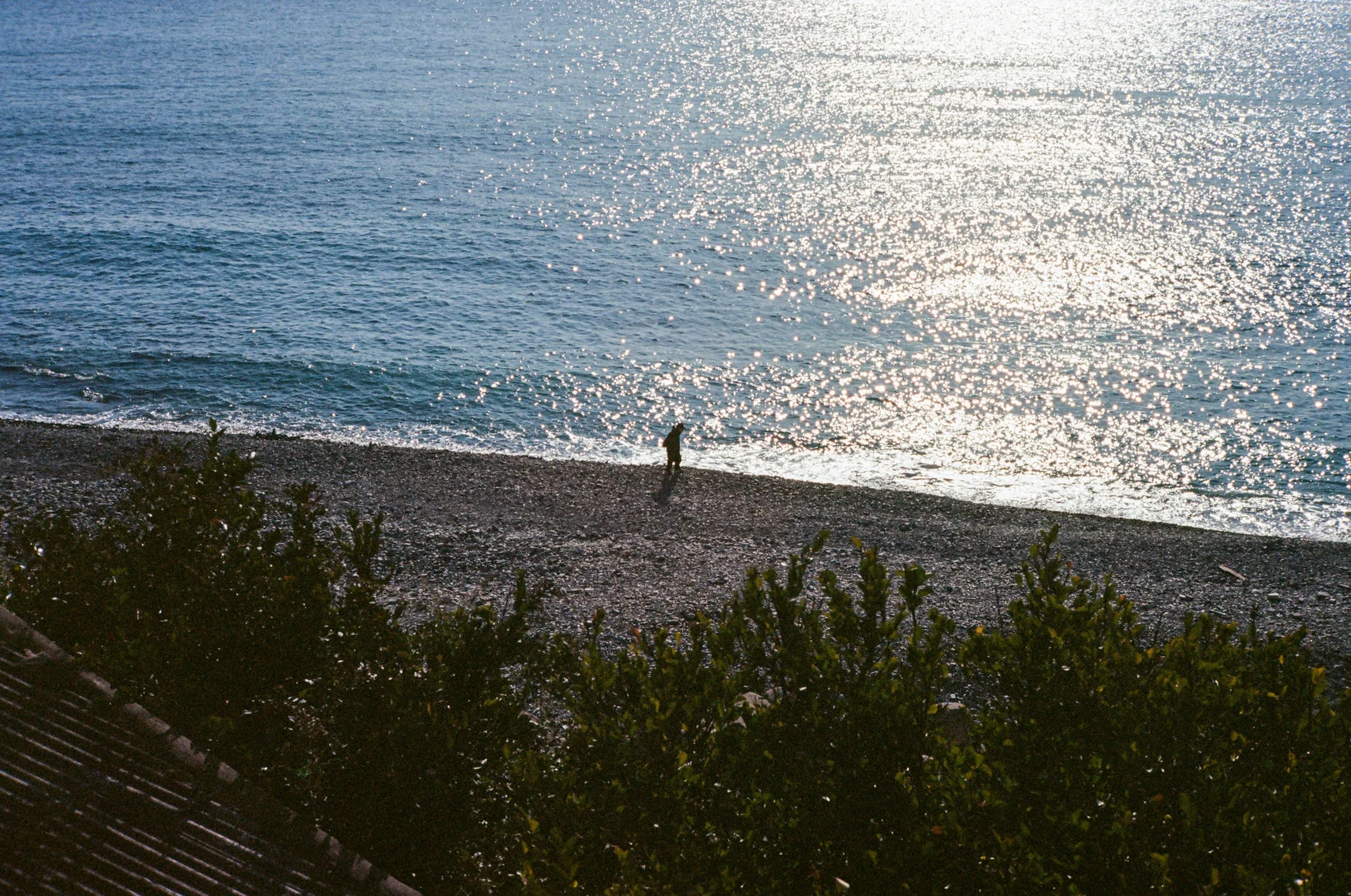 Sunlight on the shore