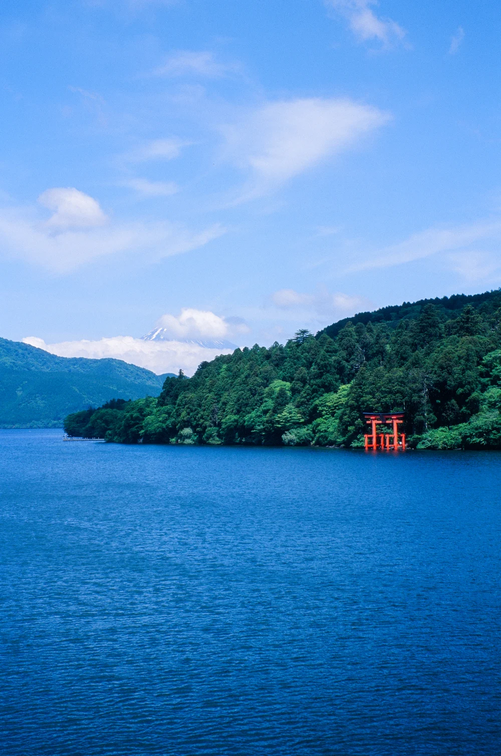 A wooded lakeshore and a red torii