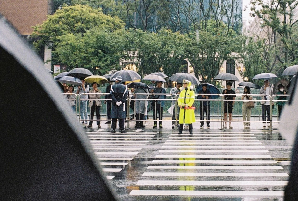 Umbrellas on a rainy street