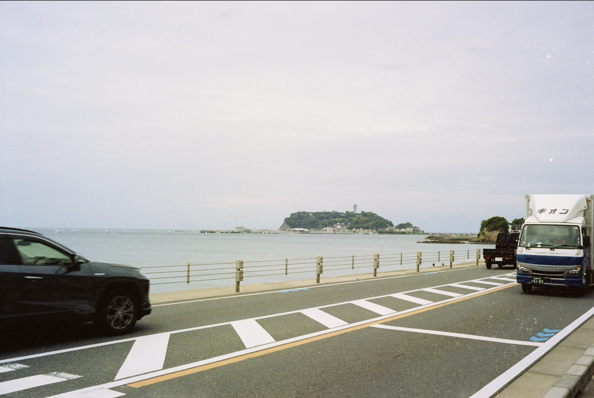 Before GrainMend — a film scan with dust and scratches still on it